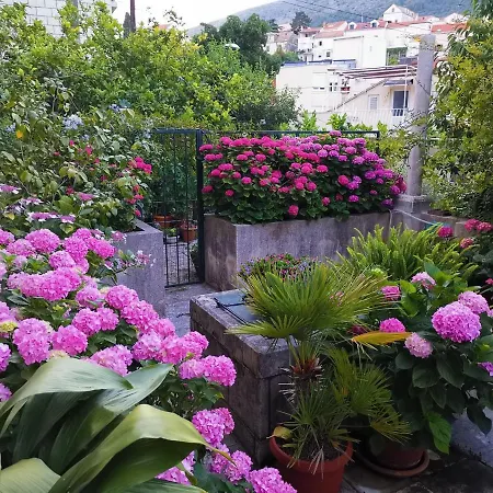 Sensa * Ντουμπρόβνικ