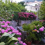 Apartments Sensa Dubrovnik * Ντουμπρόβνικ