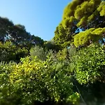 Apartments Sensa Dubrovnik *