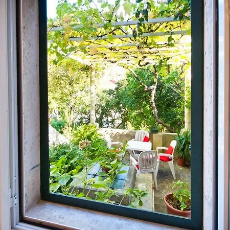 Apartment Sensa