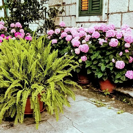 Apartments Sensa Dubrovnik Ντουμπρόβνικ