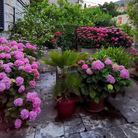 Sensa Lägenhet Dubrovnik