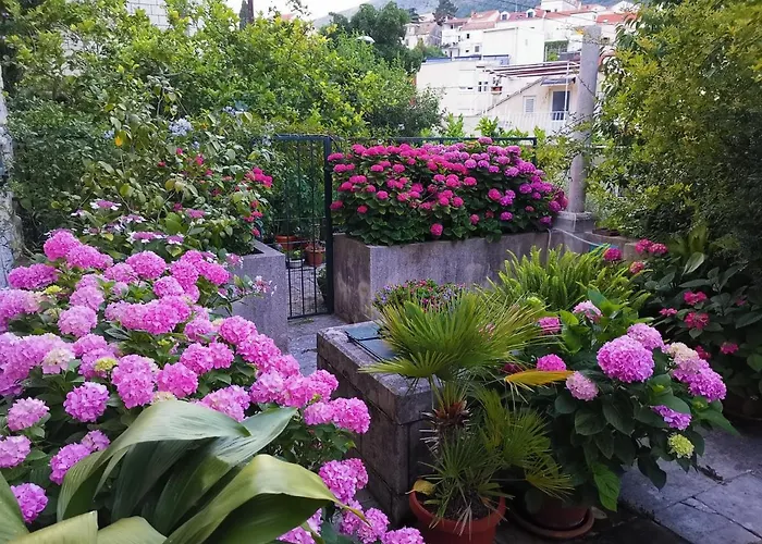 Sensa Next To The Old Town * Dubrovnik