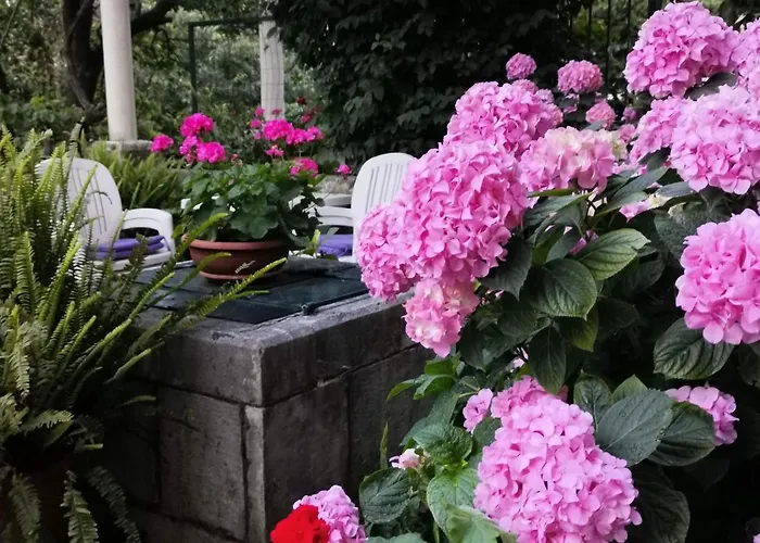 Sensa דוברובניק